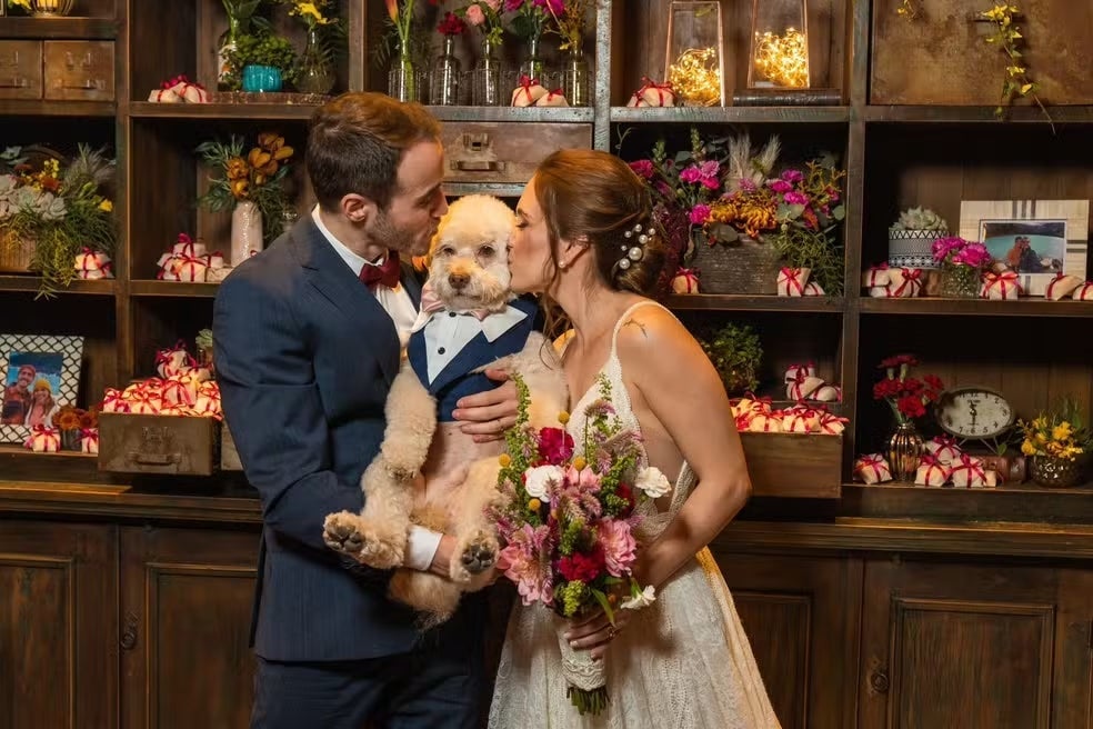 Cachorro eletrocutado tinha 10 anos e estava passeando com tutores