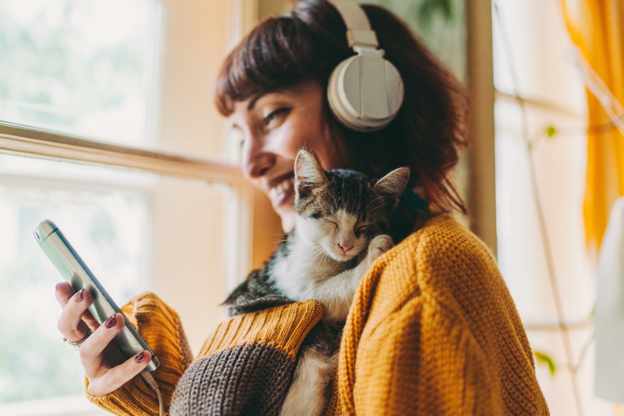 A personalidade humana pode afetar o comportamento do gato? 