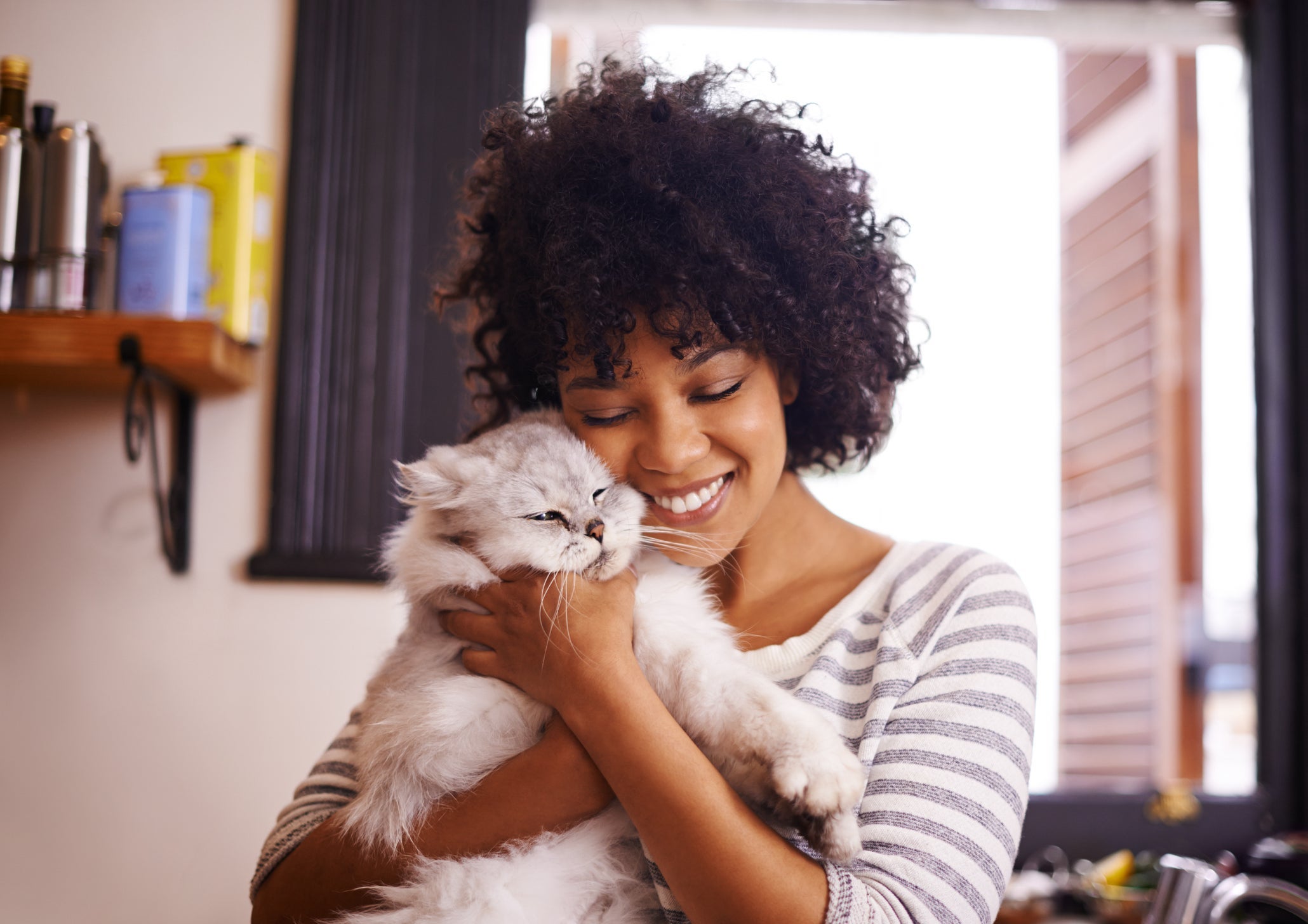 Veja algumas dicas para estreitar a relação com o gato