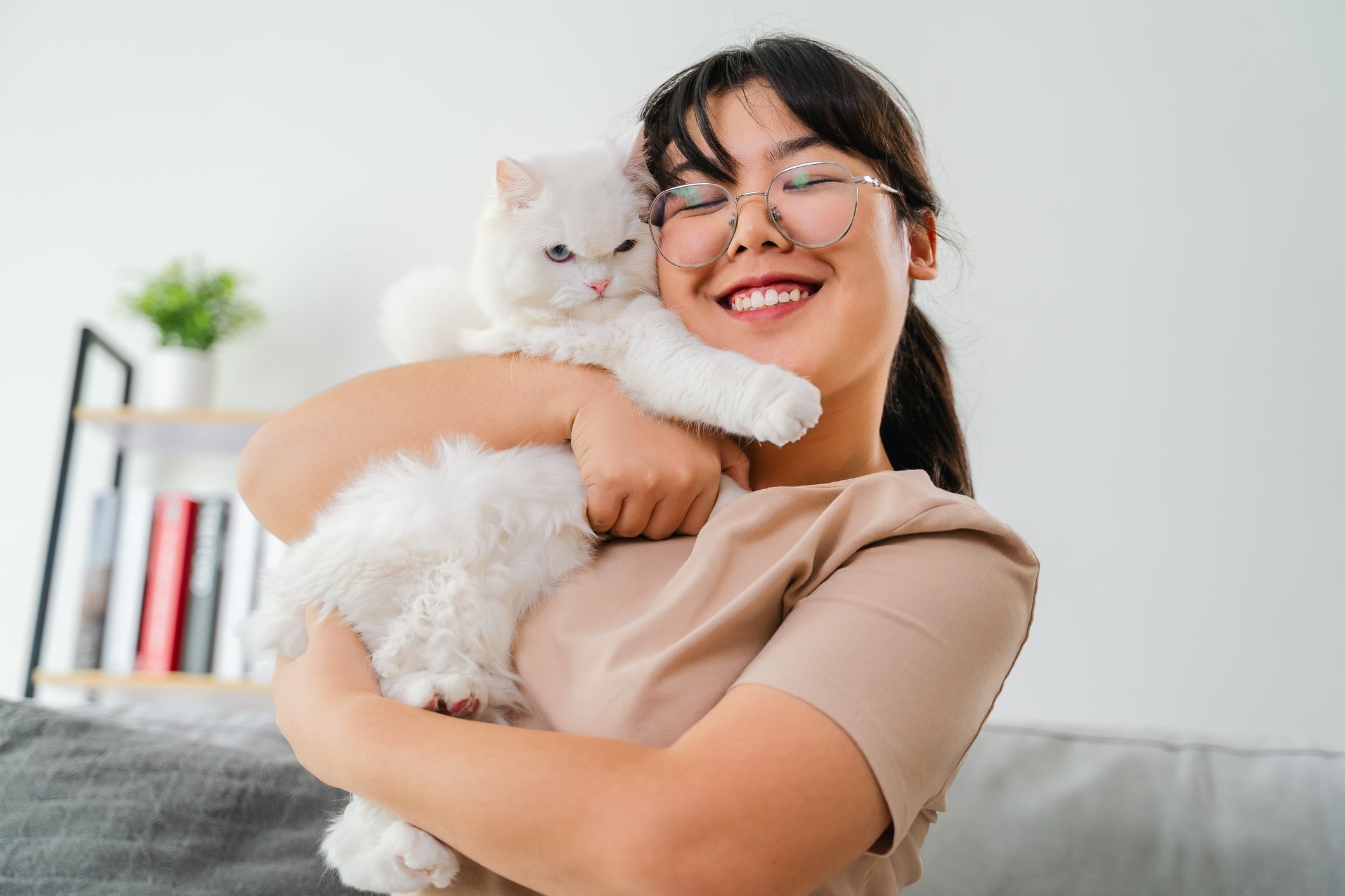 Você sabia que ter um gatinho pode te tornar um ser humano melhor? 
