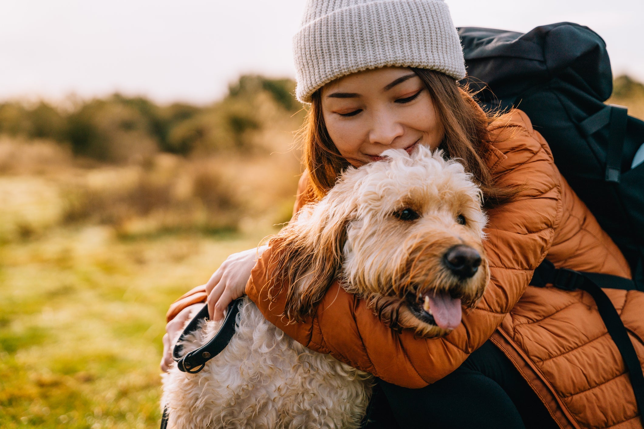 Os cachorros ensinam lições que ninguém imagina aprender com um pet