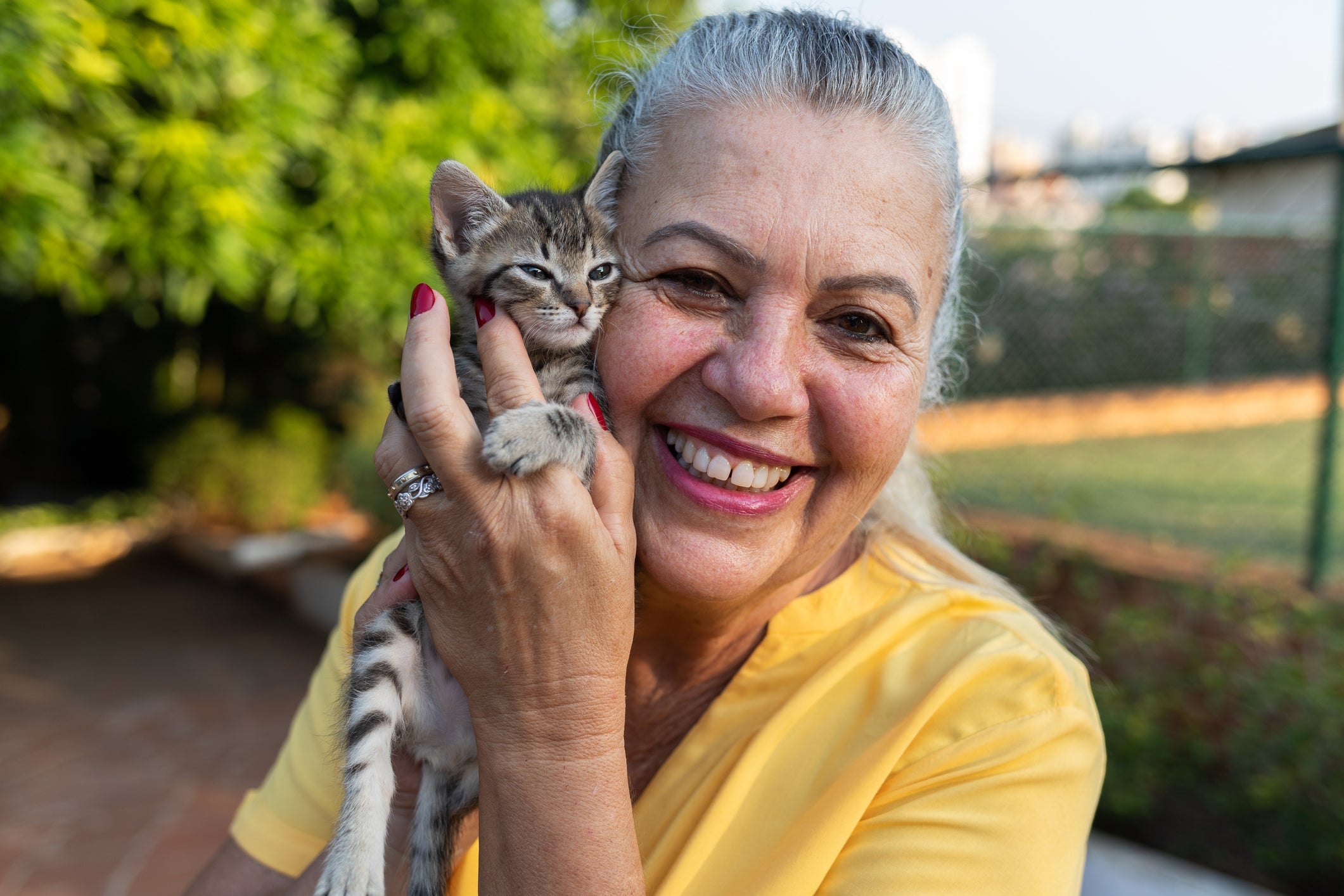 Antes de adotar gato, é importante preparar o ambiente com tudo que ele precisa para ser feliz 