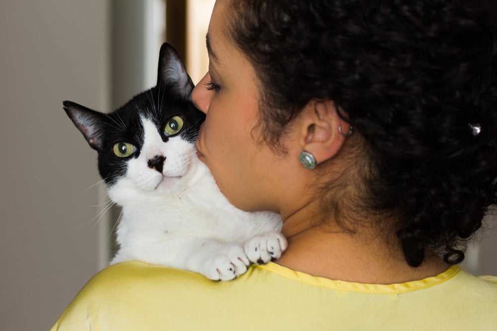 O amor de gato está nos detalhes