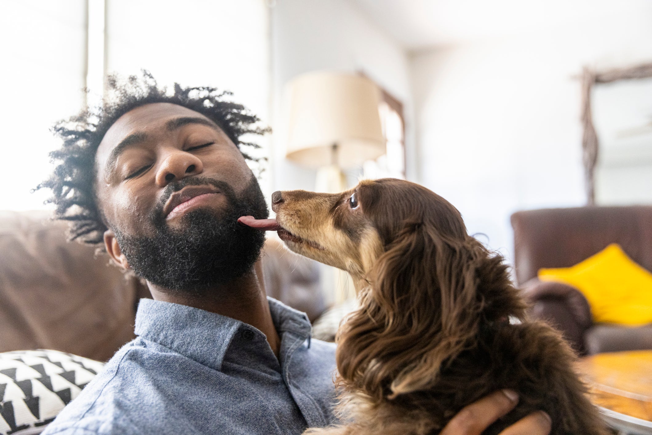 Os lambeijos é um hábito muito comum entre os cães e pode significar algumas coisas