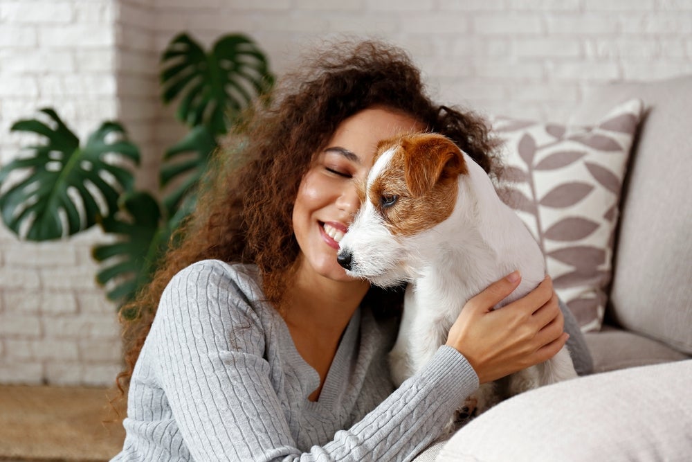 A relação construída com um cachorro pode ser fortalecida com algumas estratégias