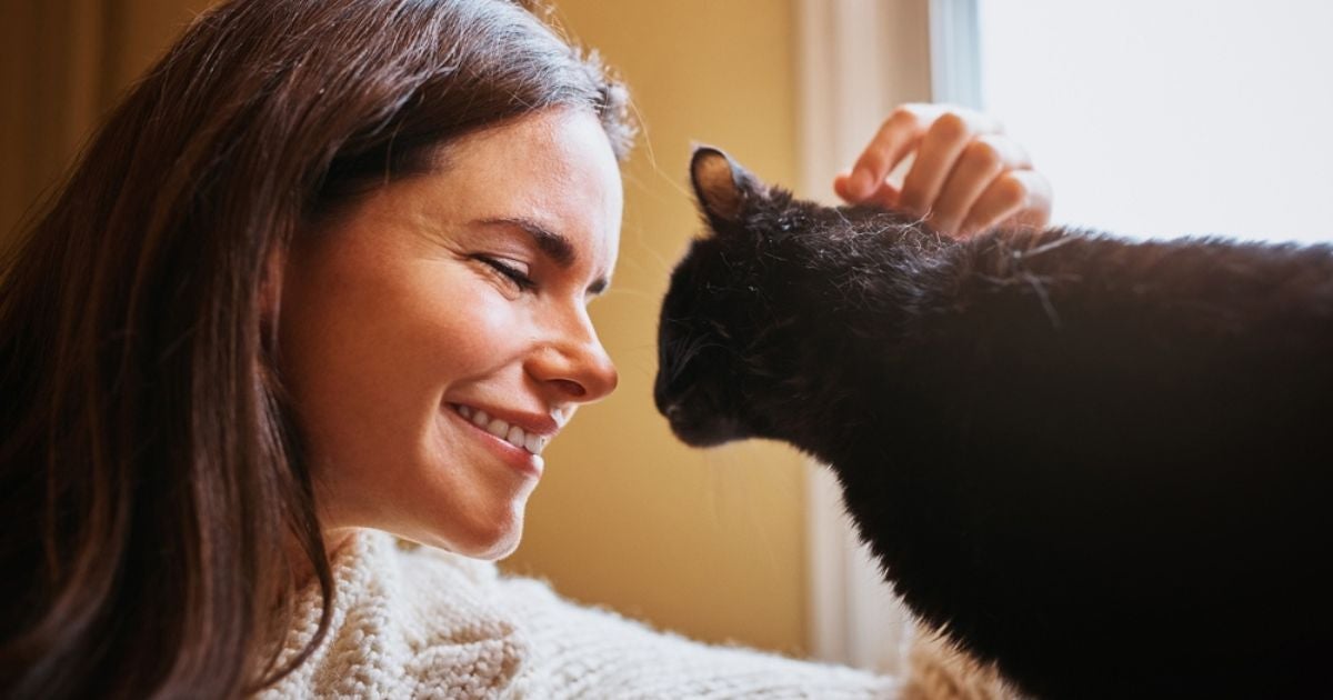 Usar a voz de bebê para falar com os gatos pode ter um resultado muito positivo