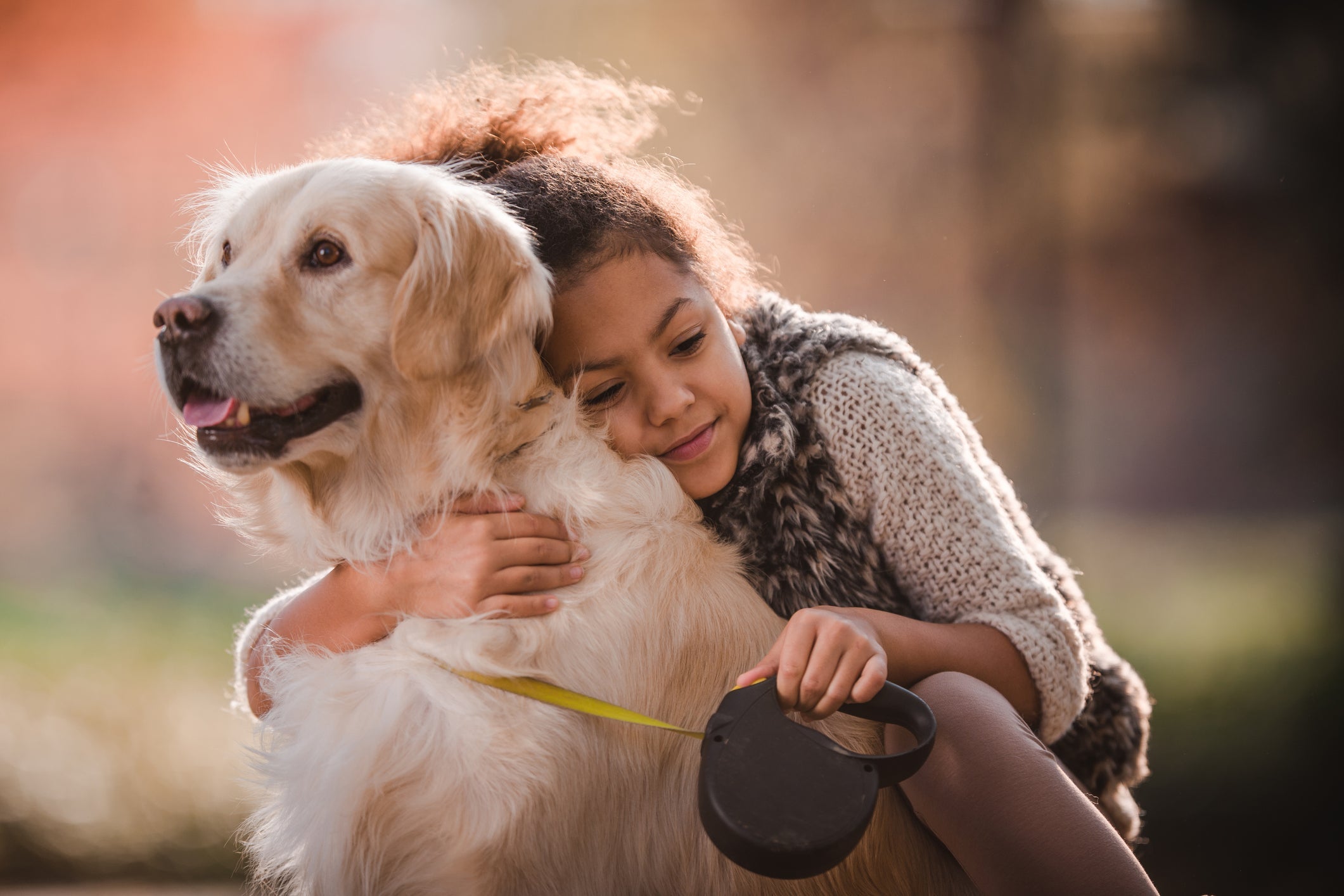 Algumas raças de cachorro se relacionam muito bem com as crianças