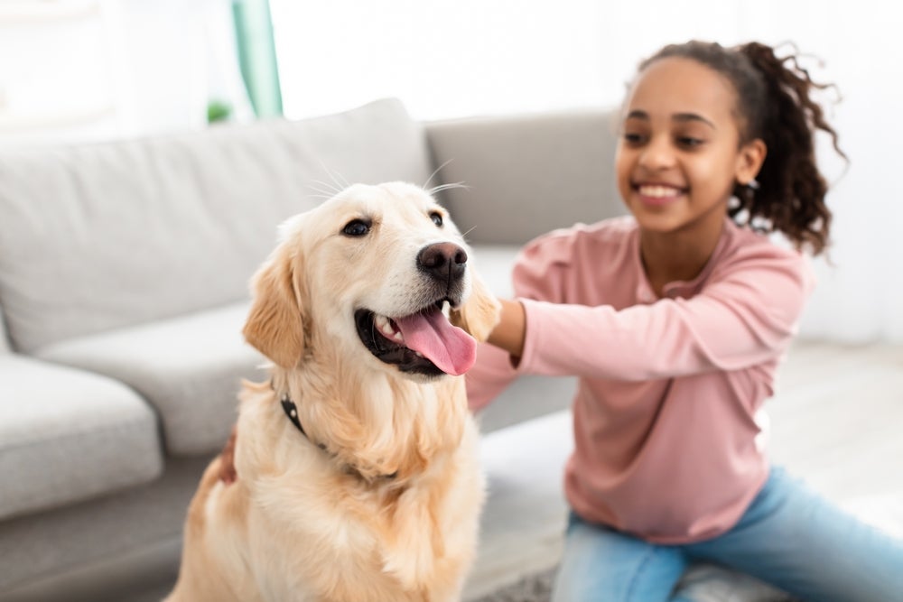 Algumas raças de cachorro são conhecidas por serem super leais