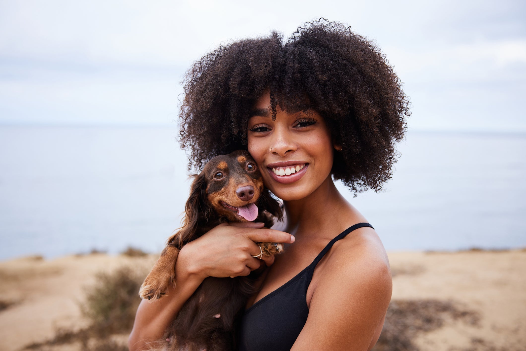 Veja dicas para fortalecer a conexão entre cachorro e tutor