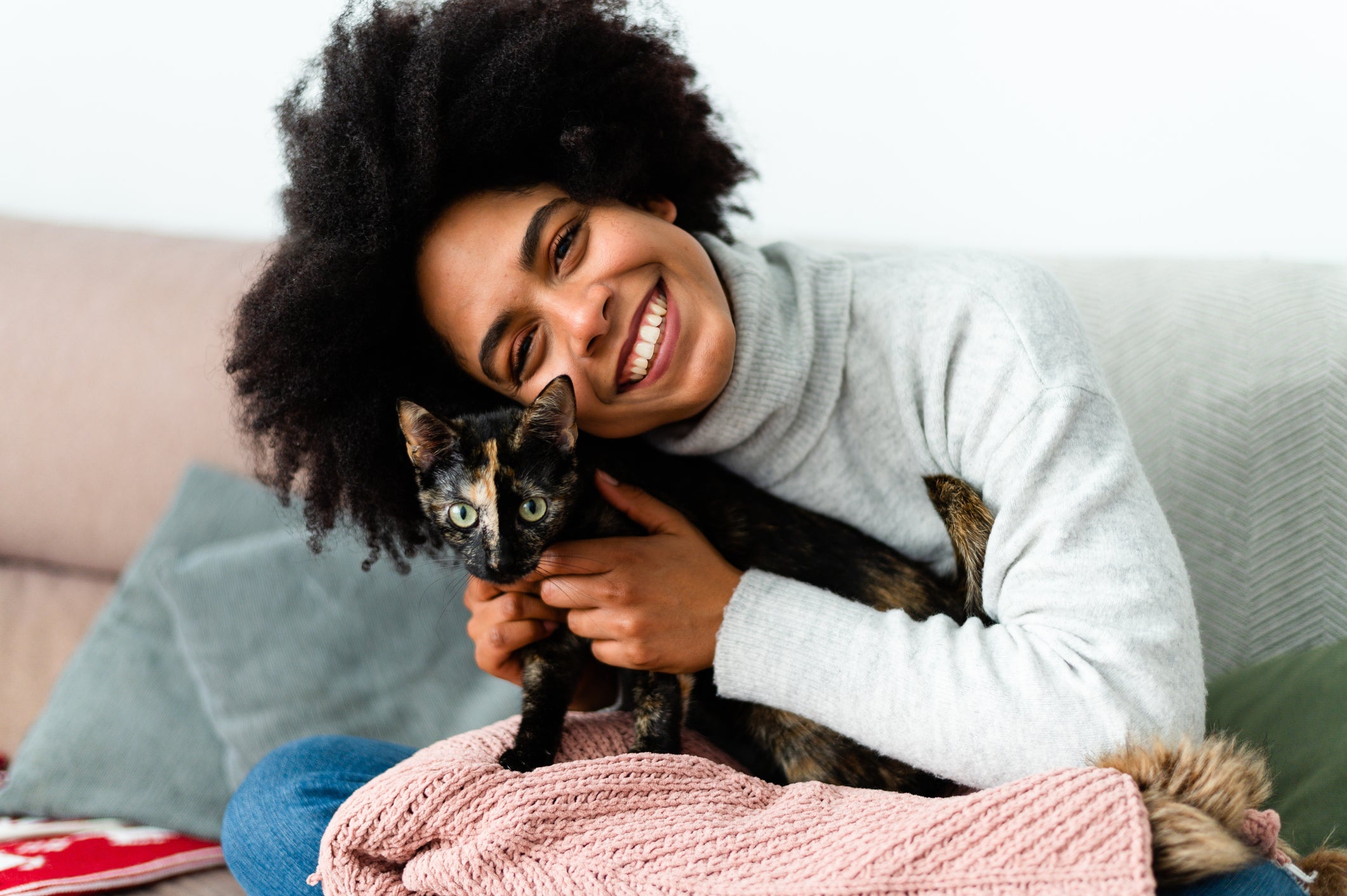 Pequenos gestos podem fazer com que os gatos sejam mais carinhosos com os tutores