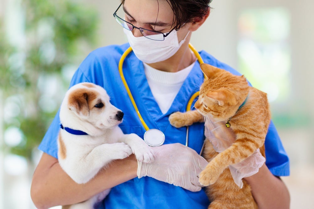 Dar um presente de Natal para o veterinário do seu pet vai fazê-lo se sentir especial