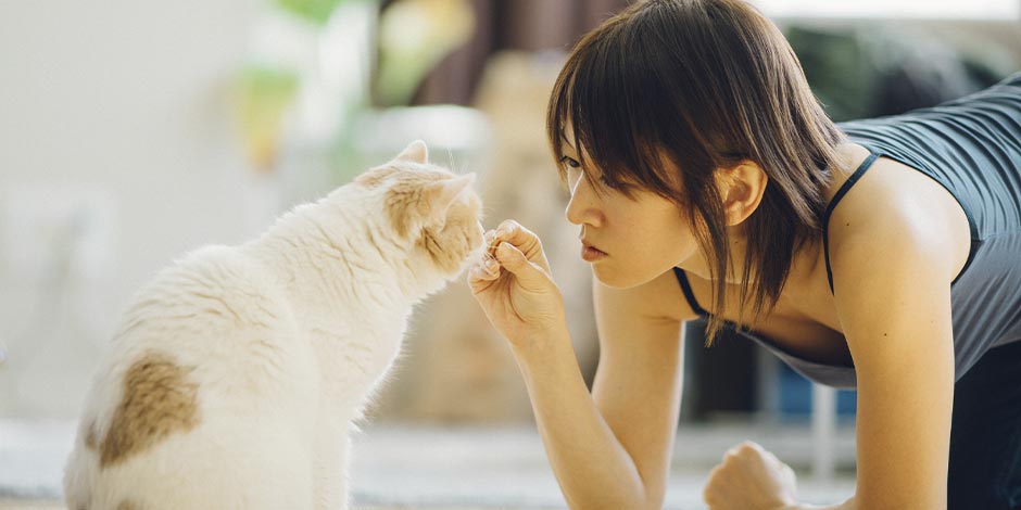 Mulher com seu pet lhe oferecendo presentes para gatos.