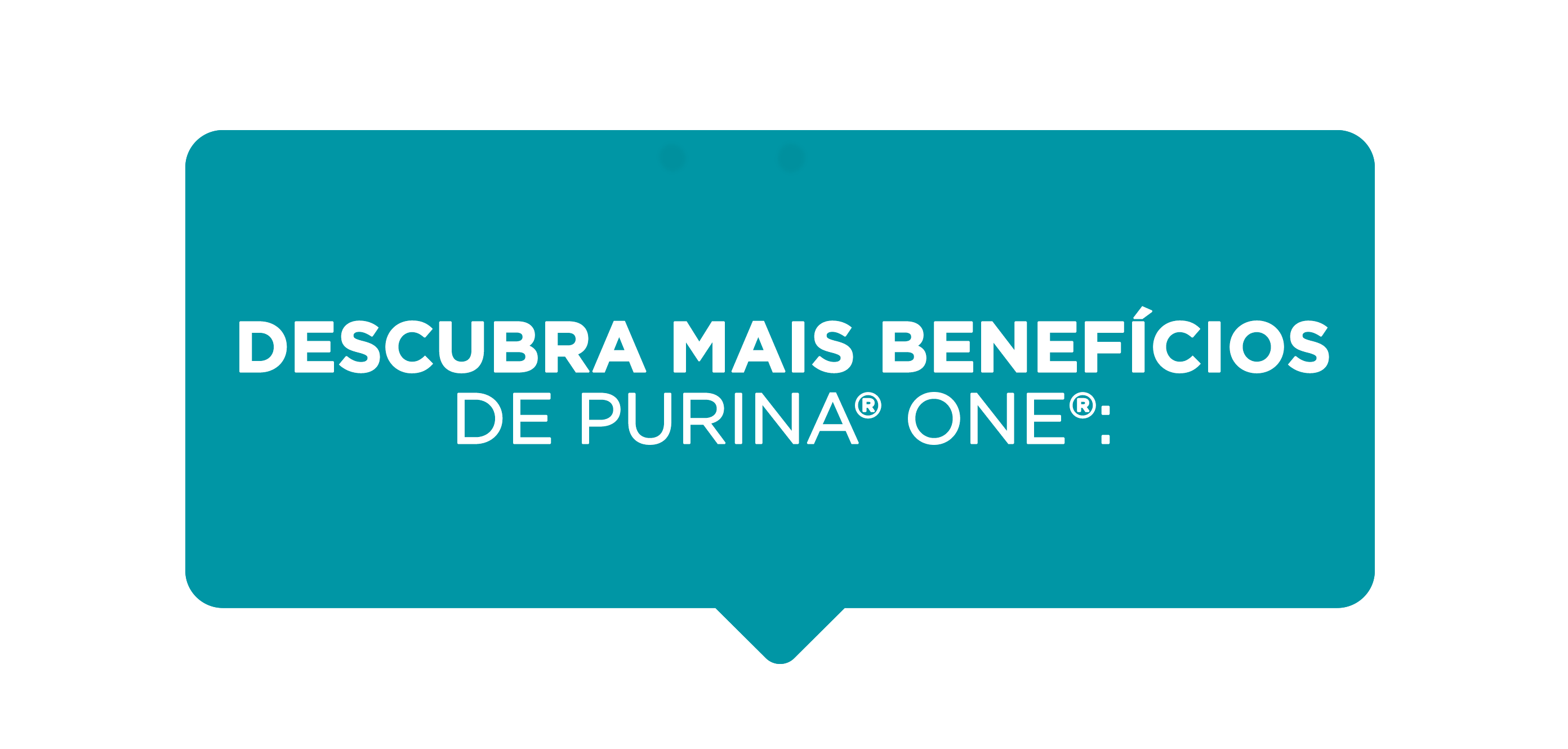 purina-one-image-descubre-beneficios