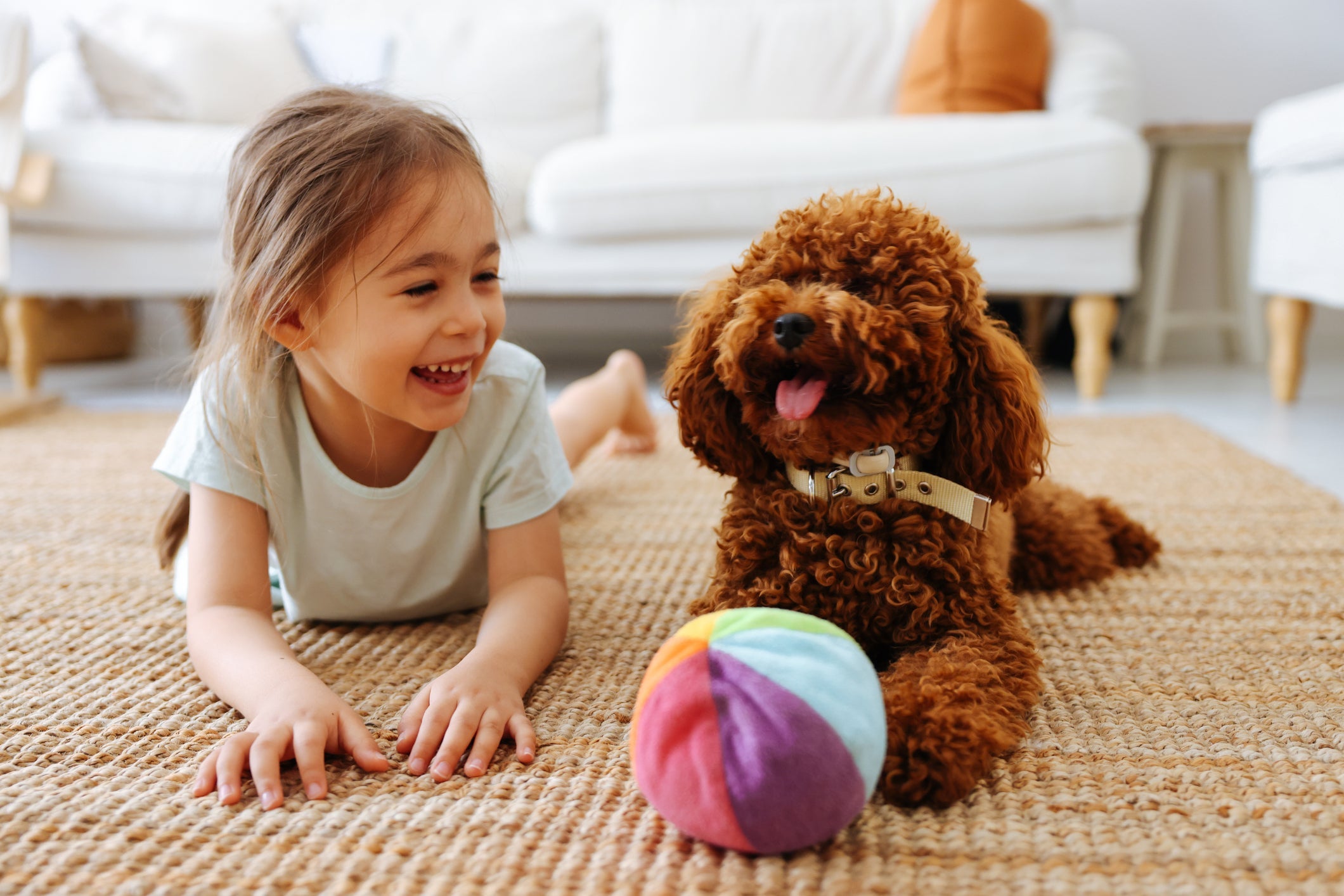 Confira 8 raças de cachorro que se dão bem com bebês, crianças, adultos e idosos