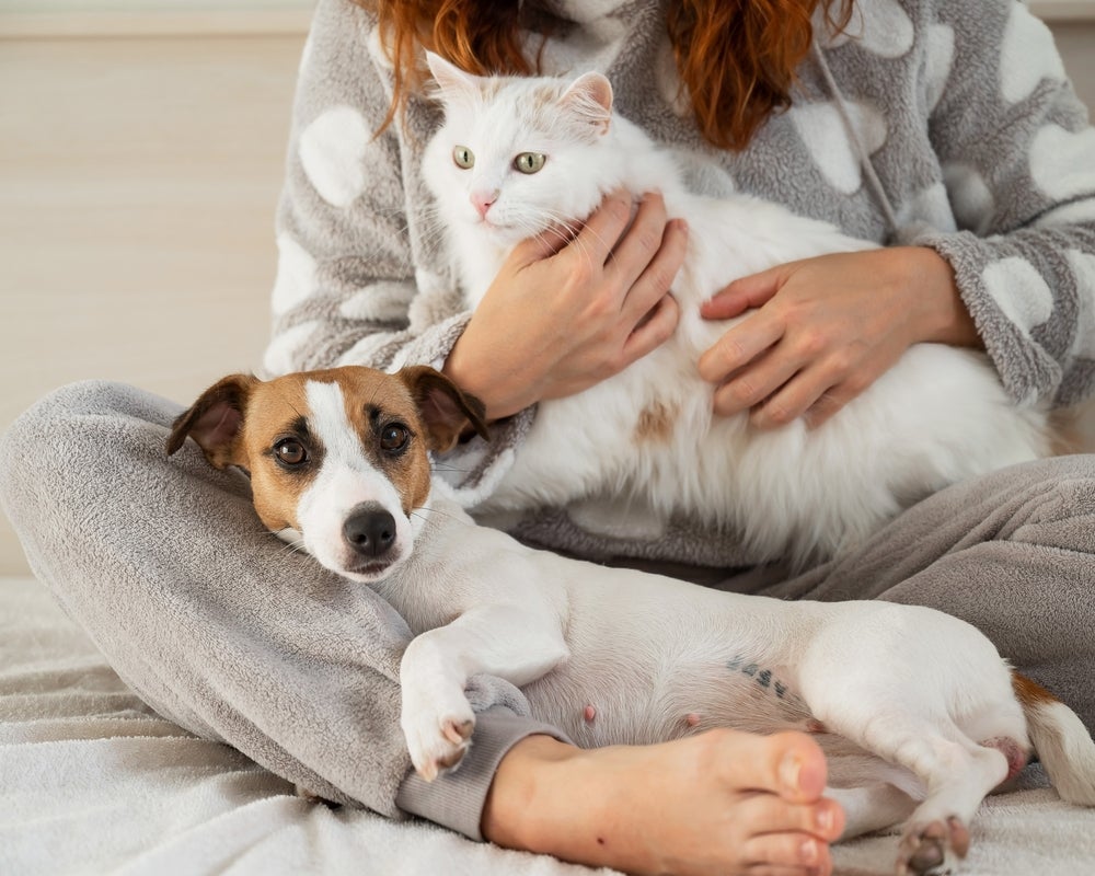 Criar dois pets juntos precisa de alguns cuidados