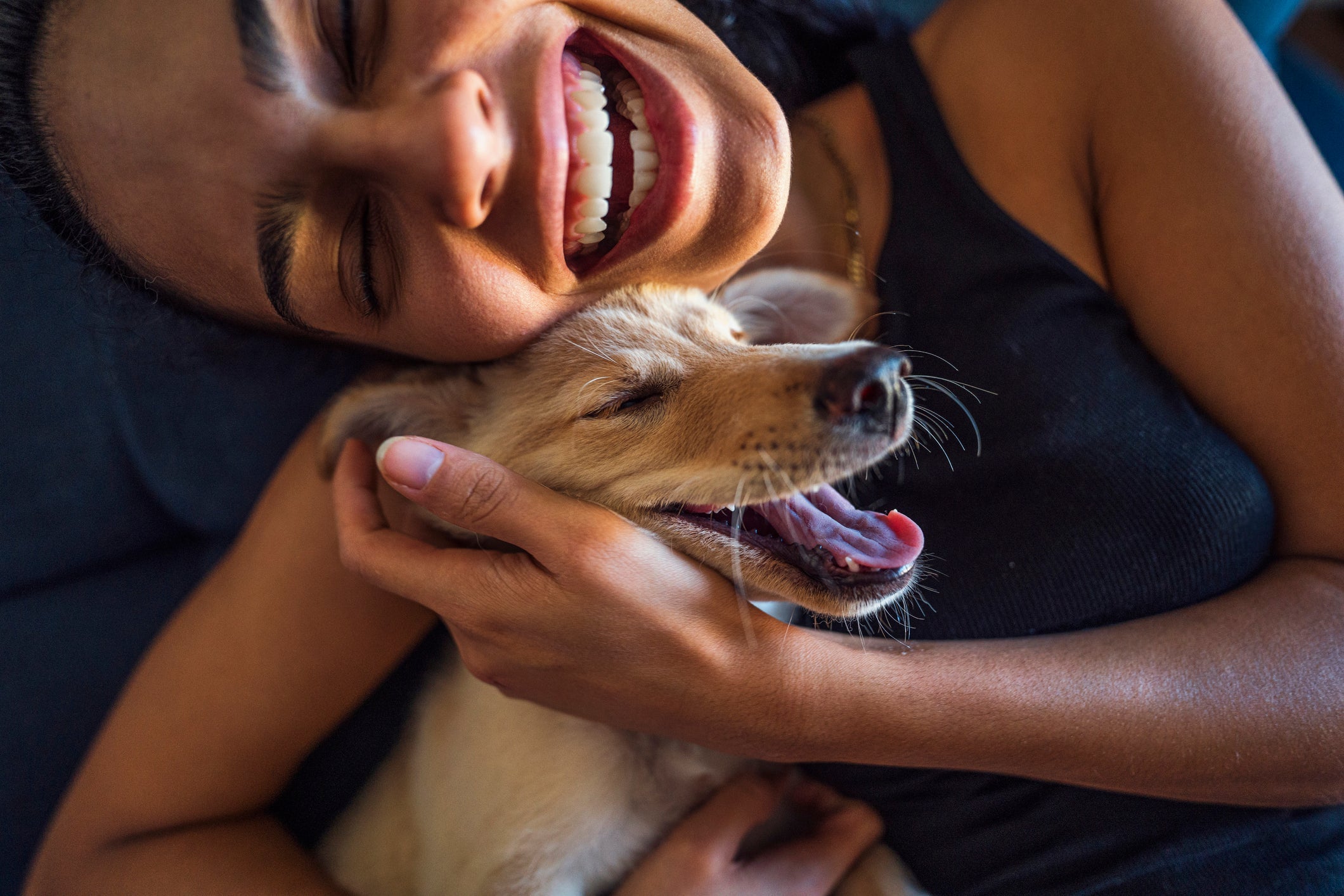 Conversar com seu cachorro ou gato pode ter significados bem positivos