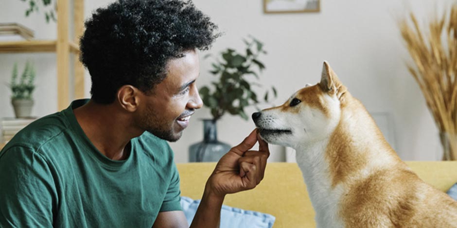 Cachorro pode comer mirtilo? Descubra a resposta com PURINA®.