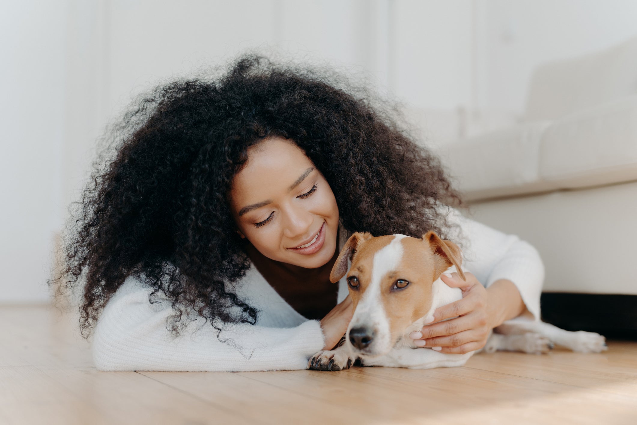 Conviver com um cachorro pode impactar diretamente nas características do tutor