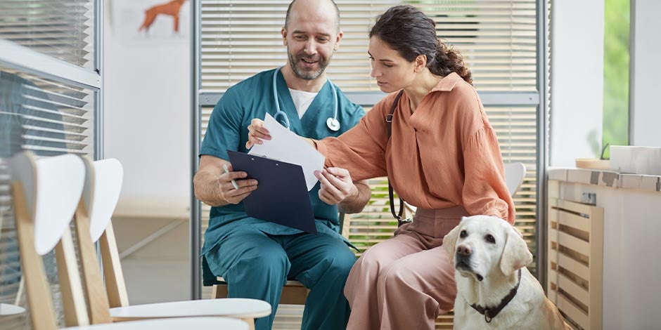 Cachorros podem comer peixe com a avaliação do veterinário.