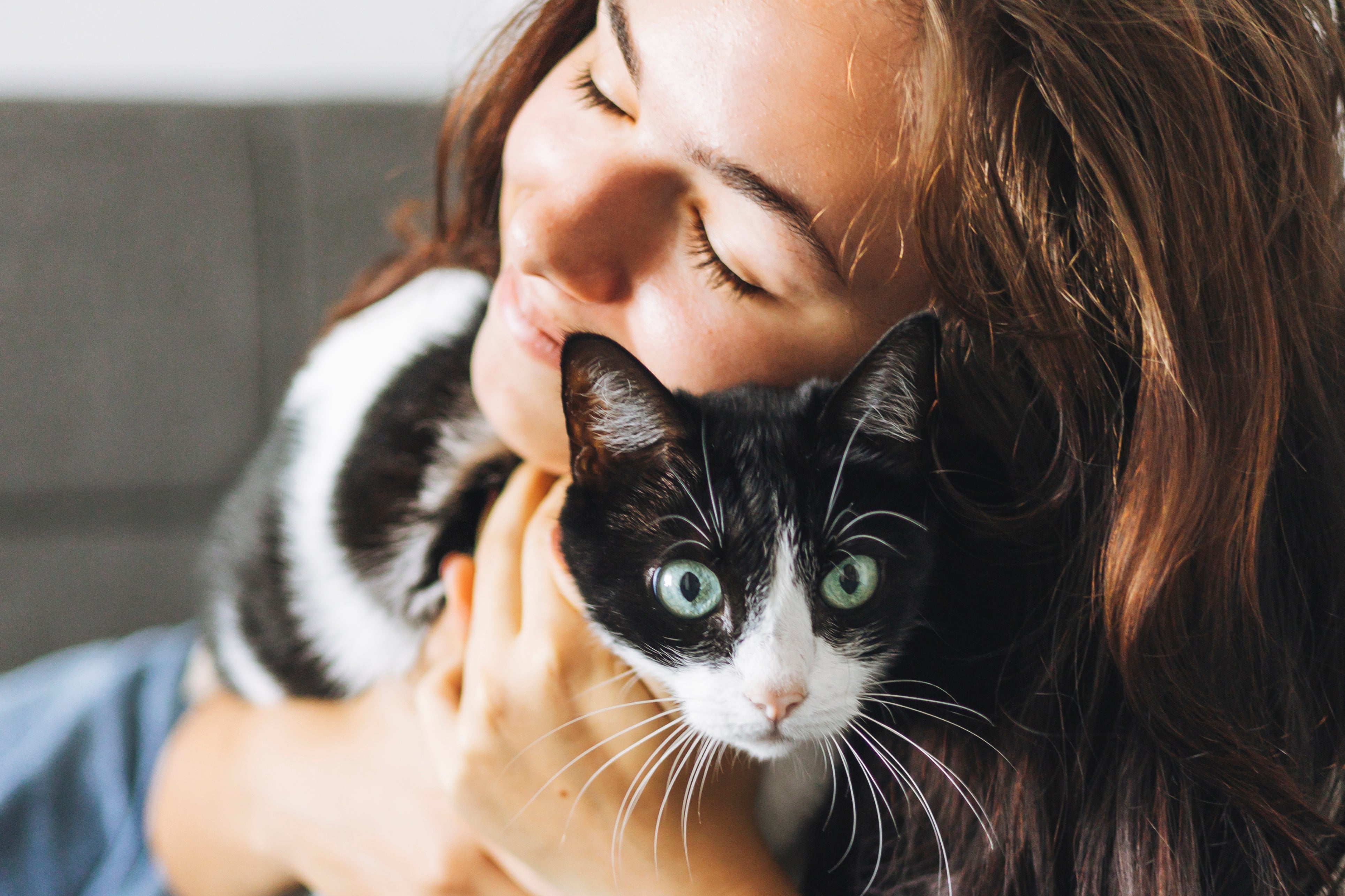 A companhia de gatos ajuda a moldar aspectos da nossa personalidade