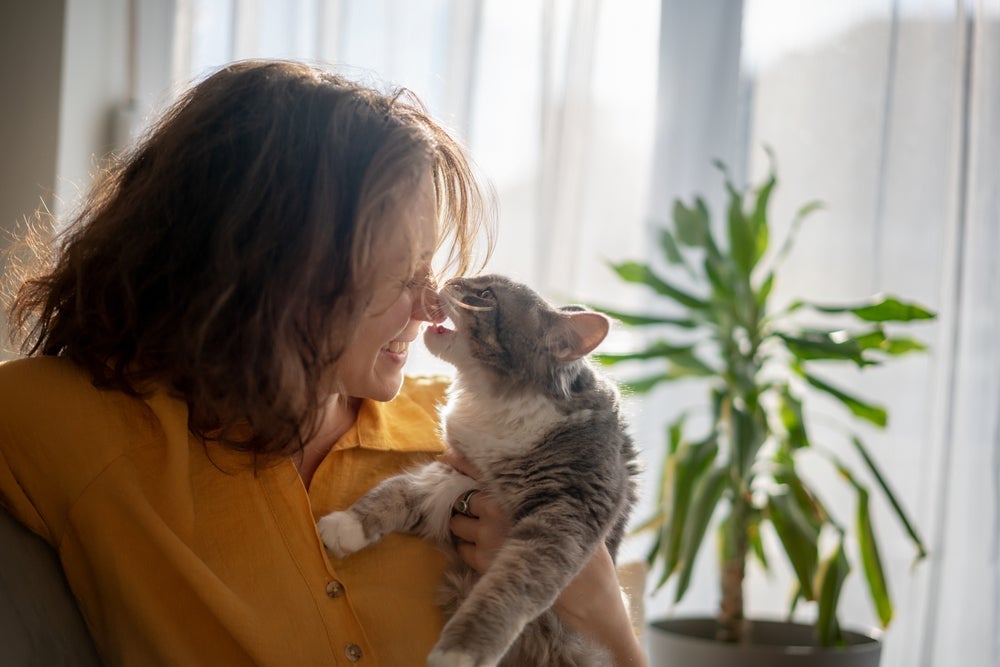 O comportamento do gato é muito curioso e pode ter explicações surpreendentes