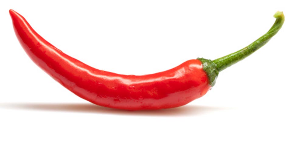 Cachorro pode comer pimentão - Picante Cachorro pode comer pimentão. Mas garanta que não seja picante como o da foto.