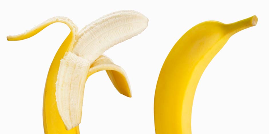 Gato pode comer banana - Casca Gato pode comer banana, mas pouco e sem casca. Duas bananas.