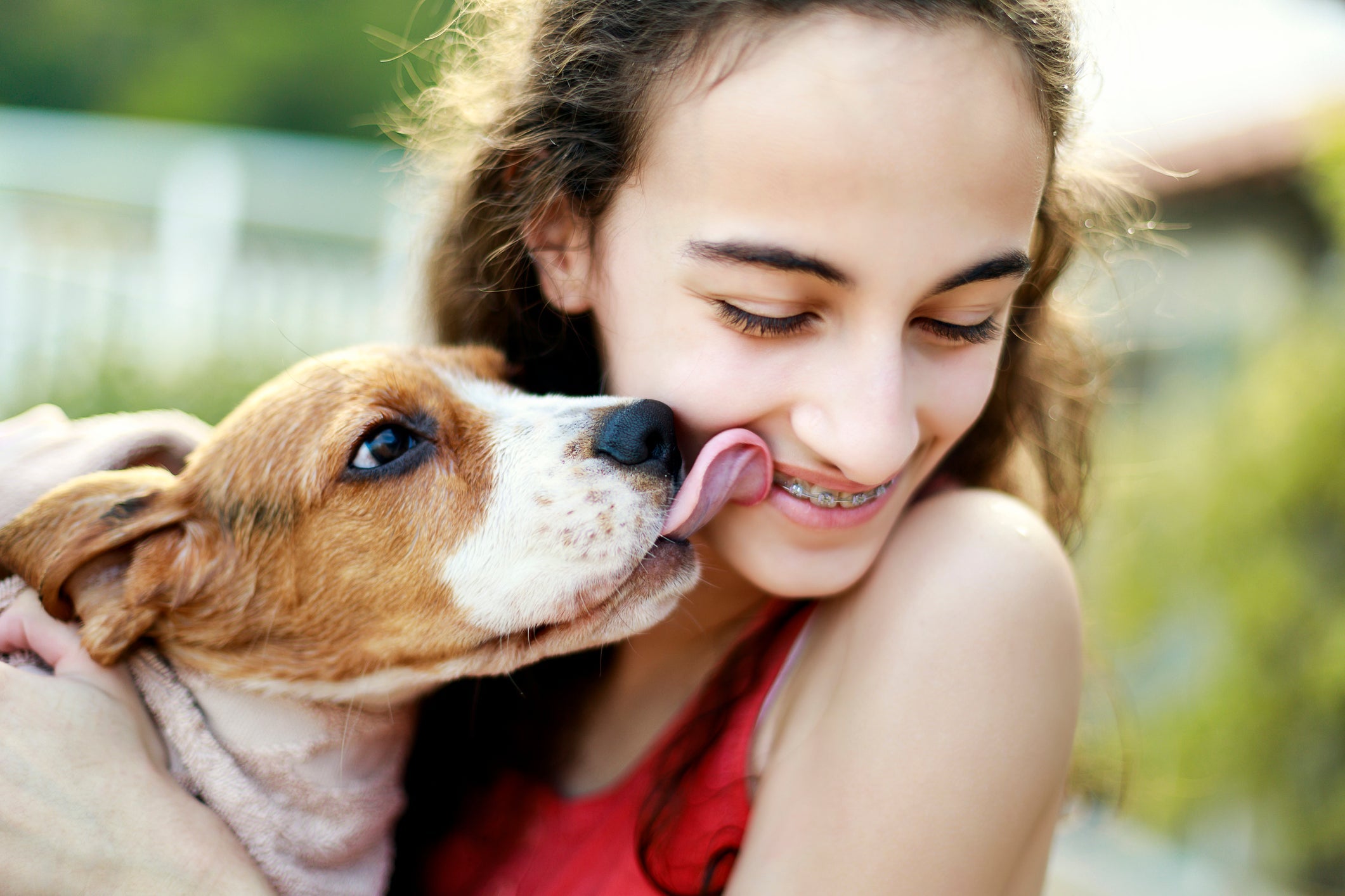 Um dos principais motivos por que o cachorro lambe o dono é para demonstrar afeto