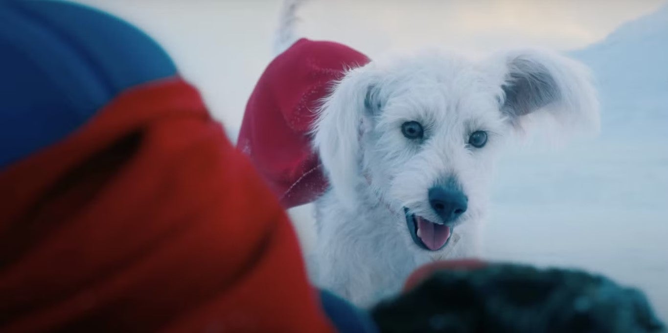 Representação do cachorro Krypto foi baseada no pet do diretor James Gunn