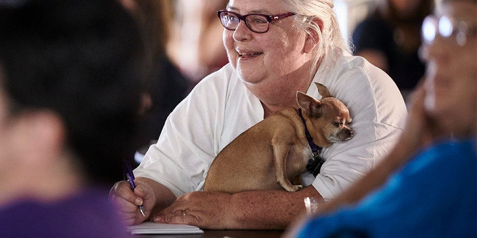 Tutora ao lado do seu chihuahua. Disfunção cognitiva canina