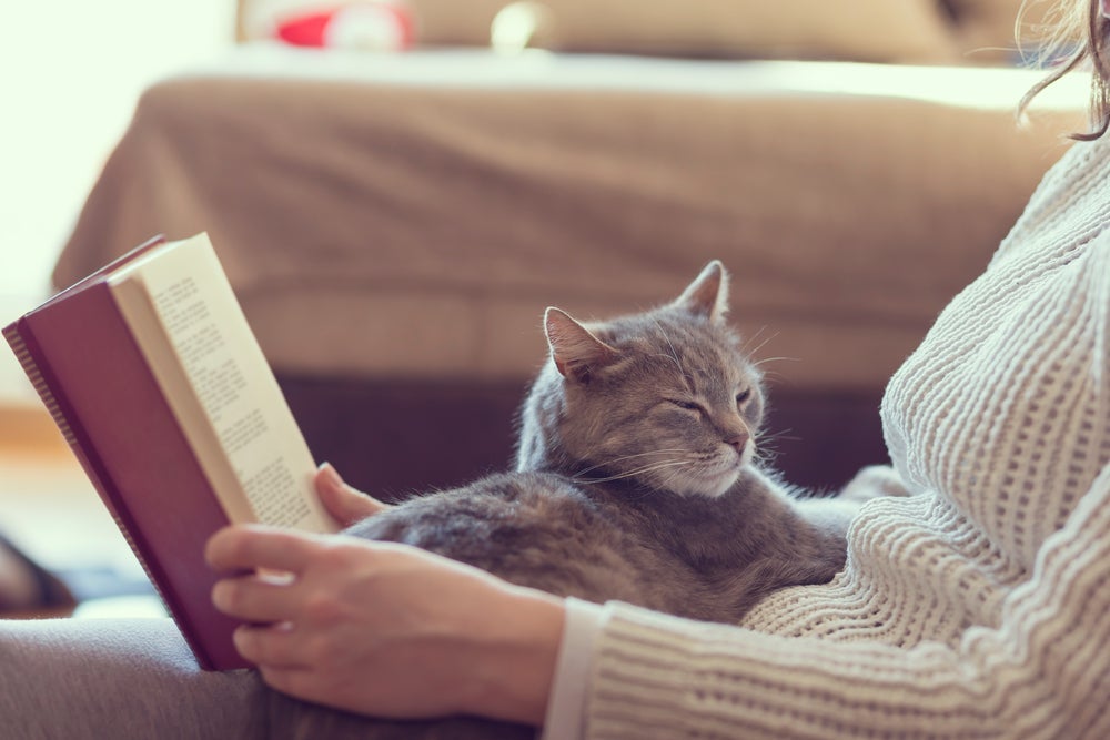 Autores clássicos retratam a essência dos felinos em versos bonitos e cheios de significado