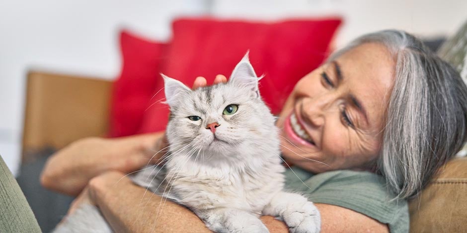 Comida para gatos com problemas renais – Cuidados Tutora e seu pet. Os cuidados com o gato incluem comida para gatos com problemas renais, se necessário.