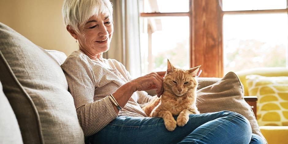 Comida para gatos com problemas renais – Sênior Gato sênior no colo de seu tutor. Saiba a importância da comida para gatos com problemas renais.