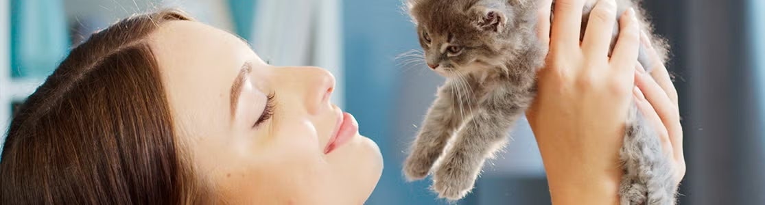 Mulher segurando um gatinho cinza. Adoção de gatos.