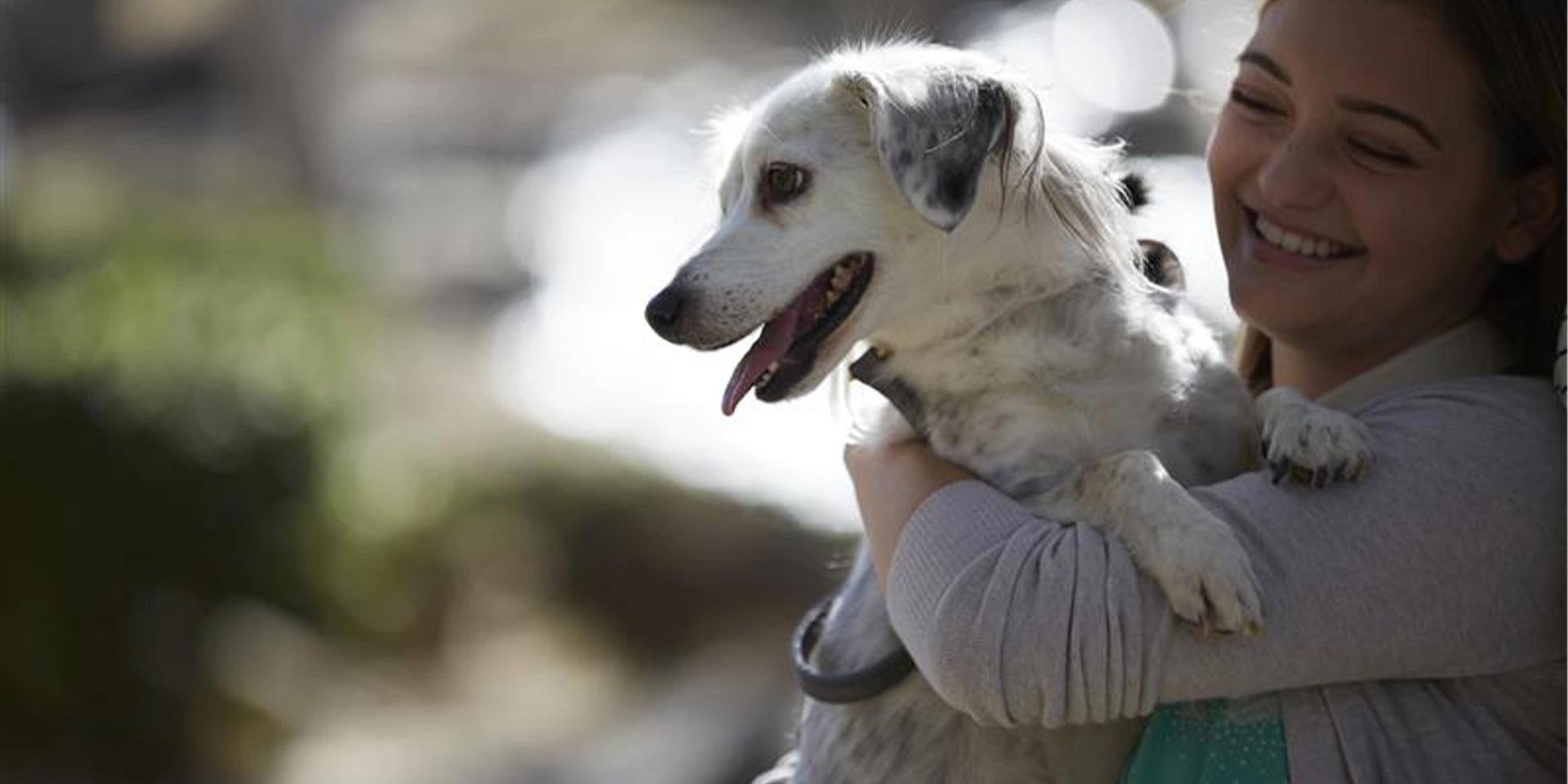 Cachorro para adoção: ventagens, cuidados e gratitude