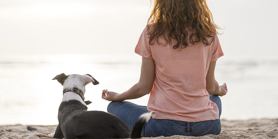 Cachorro uivando – Tutores calmos Uma tutora medita na praia com seu animal de estimação. Saber por que os cães uivam ajudará você a saber como reagir.