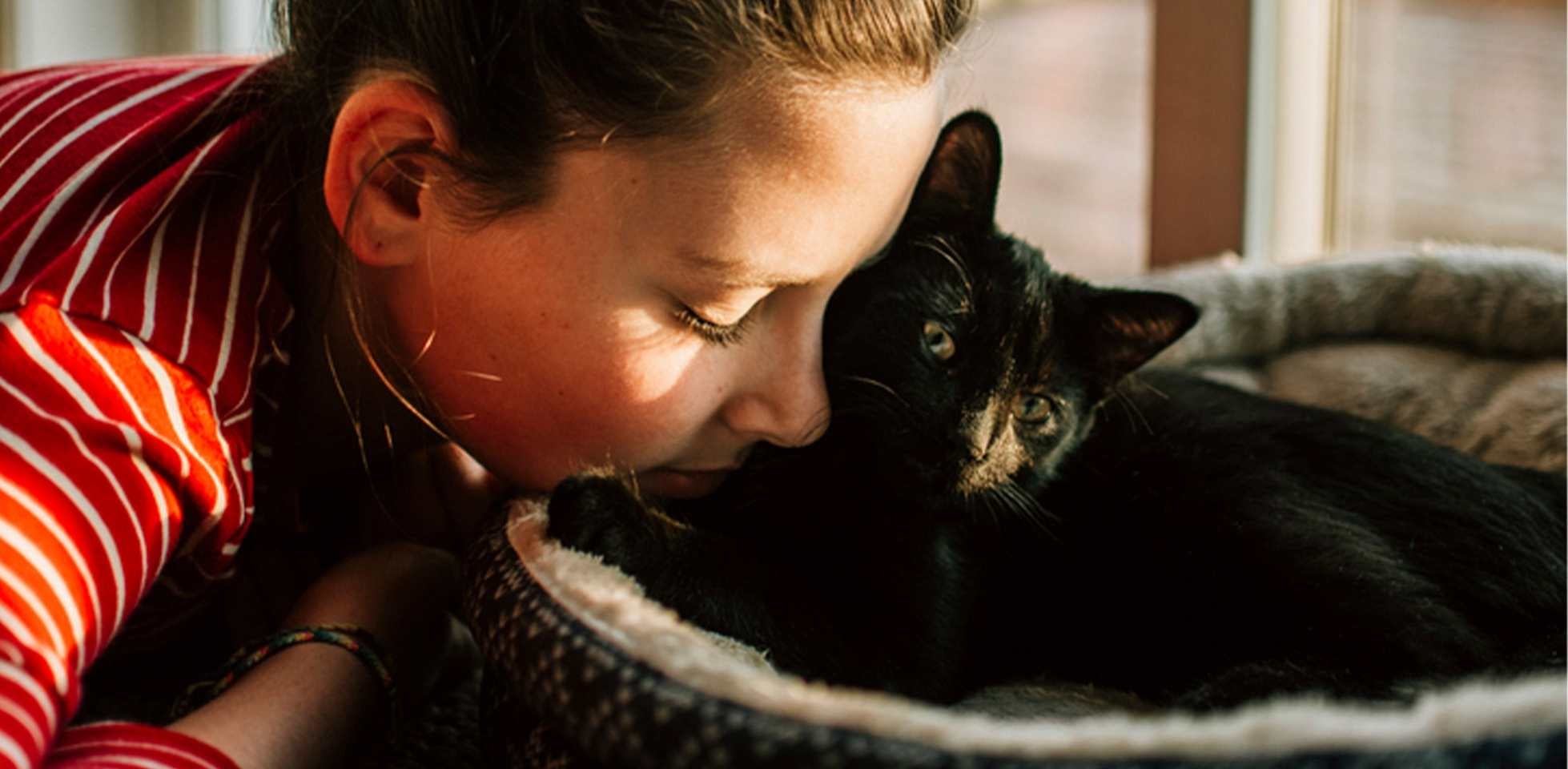 Gato preto com olhos amarelos deitado sendo mimado por sua tutora.