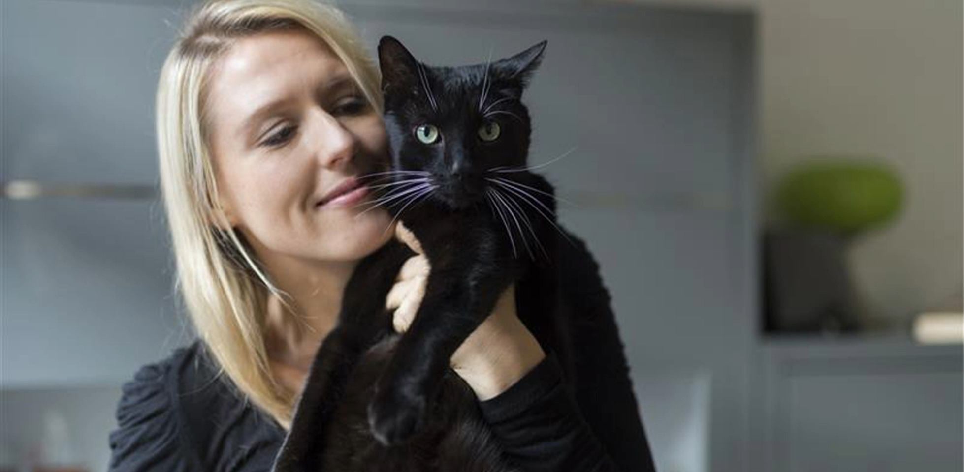 Gato preto de olhos verdes nos braços de sua tutora.