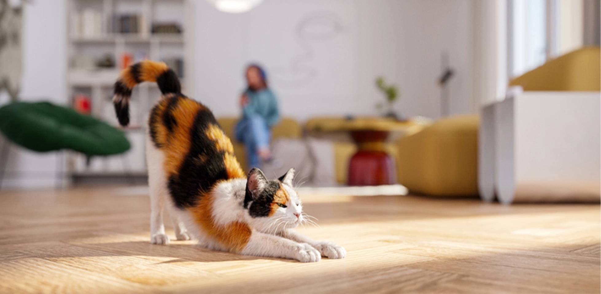Gatos podem comer cenouras: gatos com pelos brilhantes graças às vitaminas presentes neste vegetal.