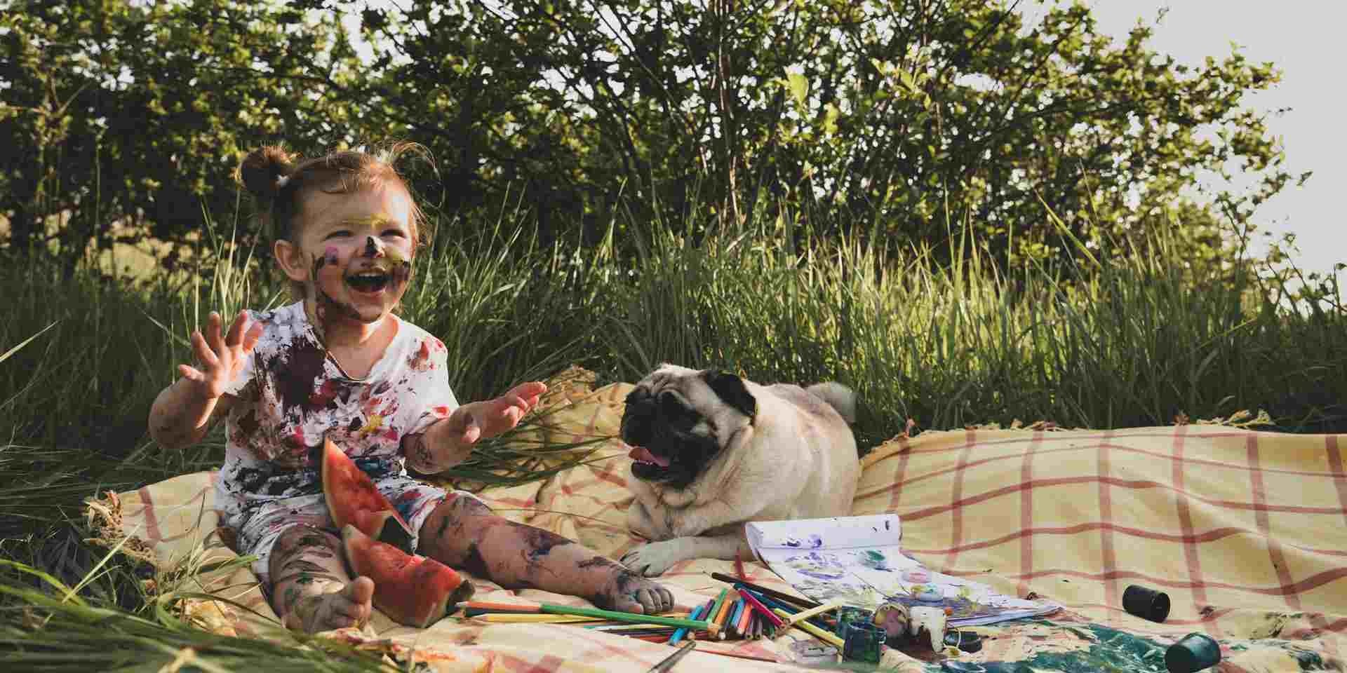 Os cachorros podem comer melão, mais em quantidades adequadas. Pug em picnic com seu pequeno tutor