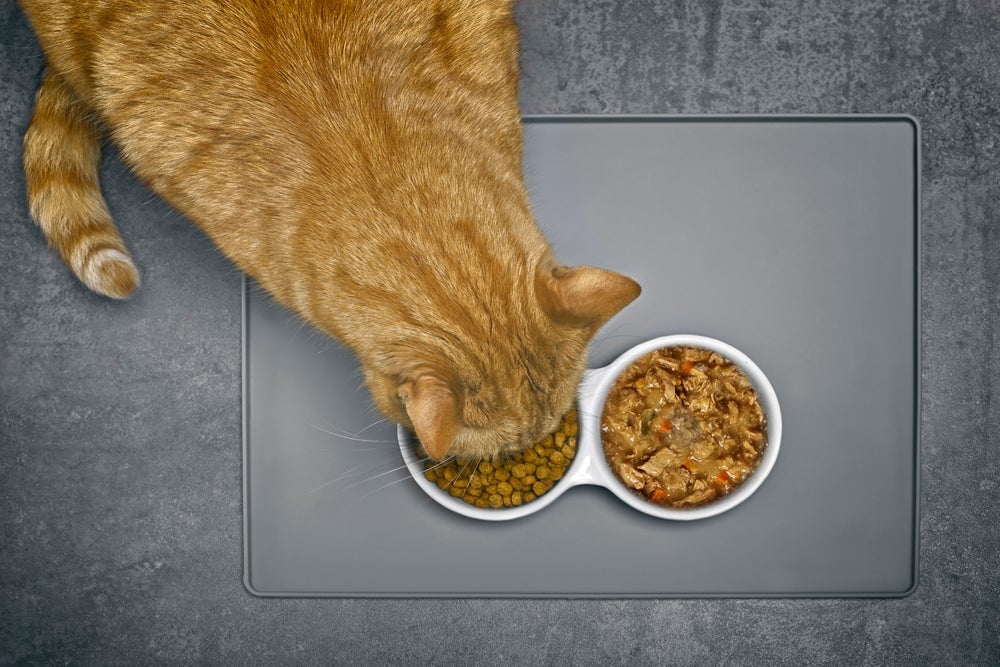 O mix feeding é uma estratégia alimentar que combina ração seca com ração úmida
