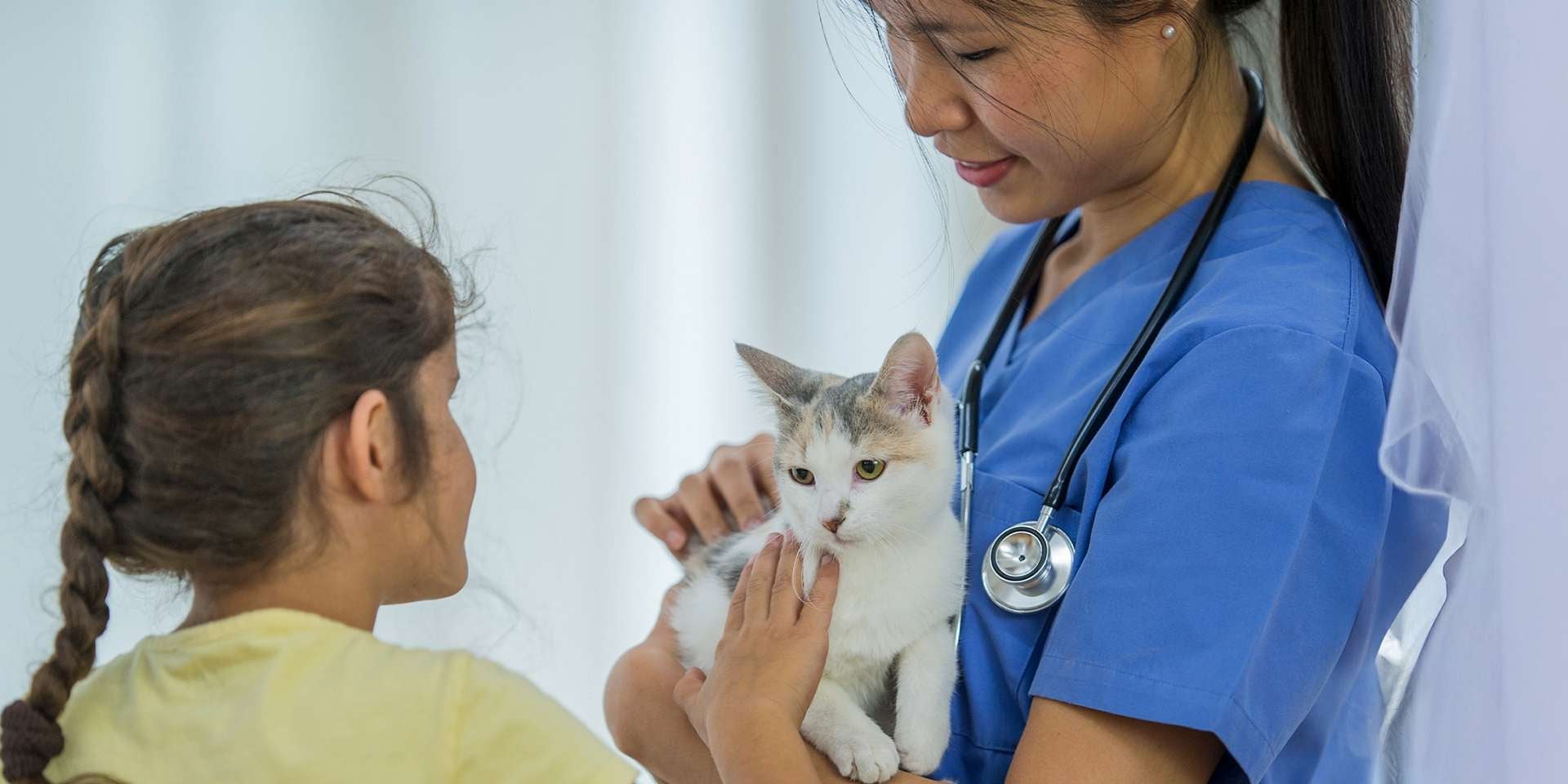 Veterinária com um gato nos braços. Essa profissional sabe exatamente com que frequência um gato precisa ser vermifugado.