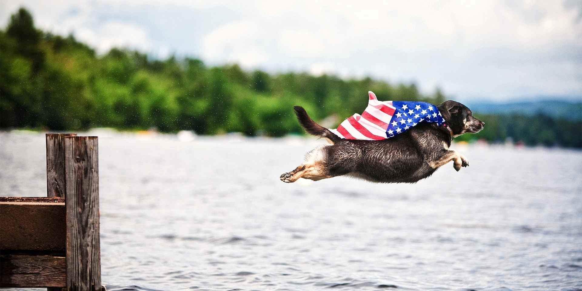 Dar nome a um cachorro pode conferir a ele uma aura especial, como a desse pequeno super-herói peludo.