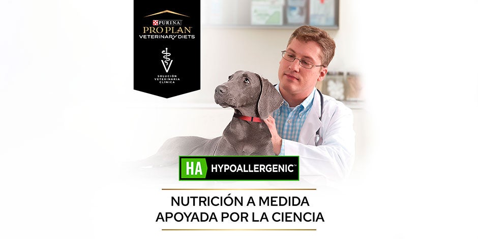 Para tratar alergias em cães, PRO PLAN® Hidrolisado será uma ótima alternativa nutricional.