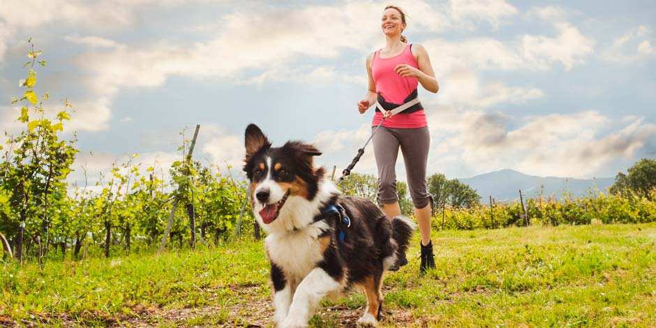Exercícios físicos são uma ótima maneira de prevenir a obesidade em cachorros. border collie correndo com seu dono.