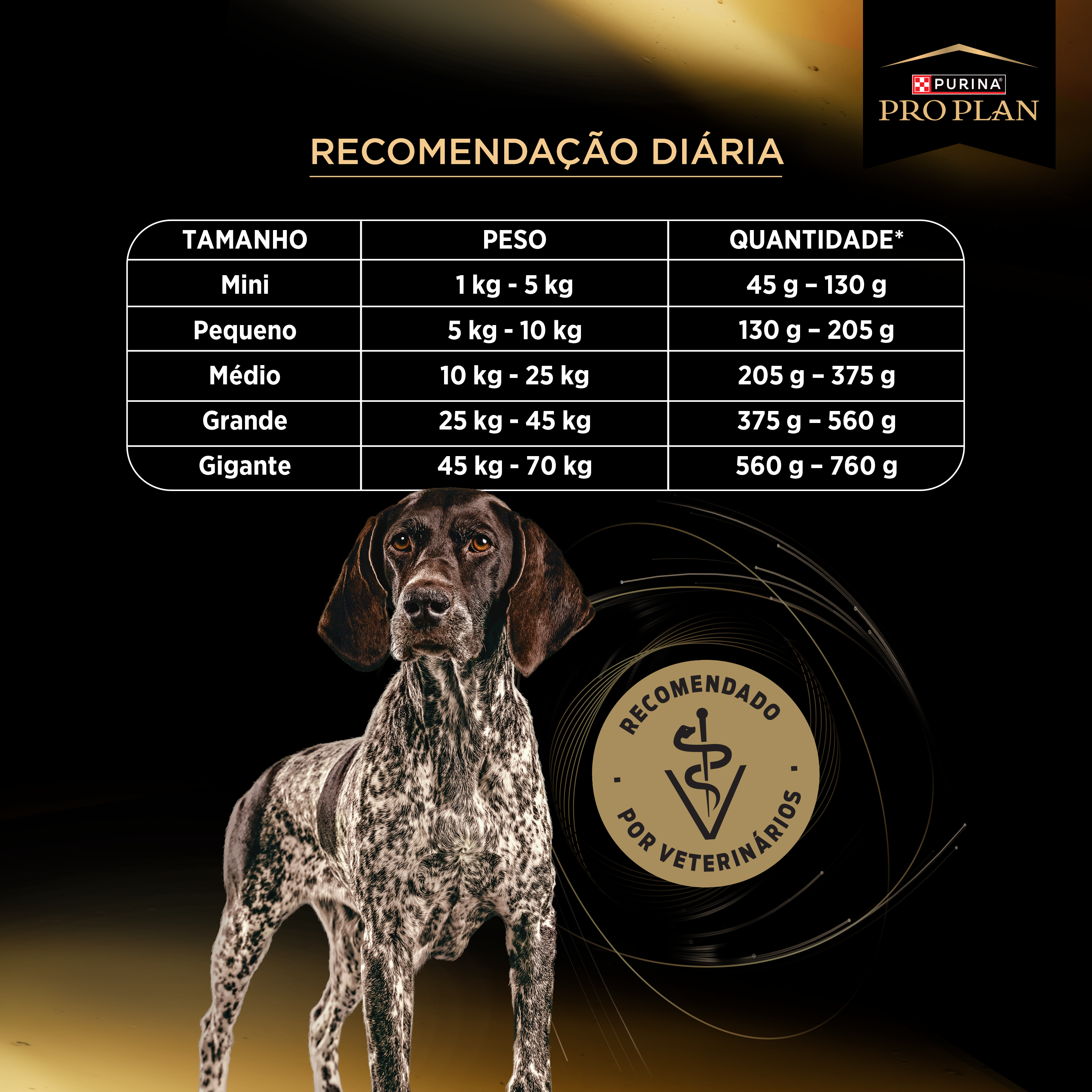 Ração para cães adultos Pro Plan Alta Vitalidade com frango, ração seca premium 3 em 1