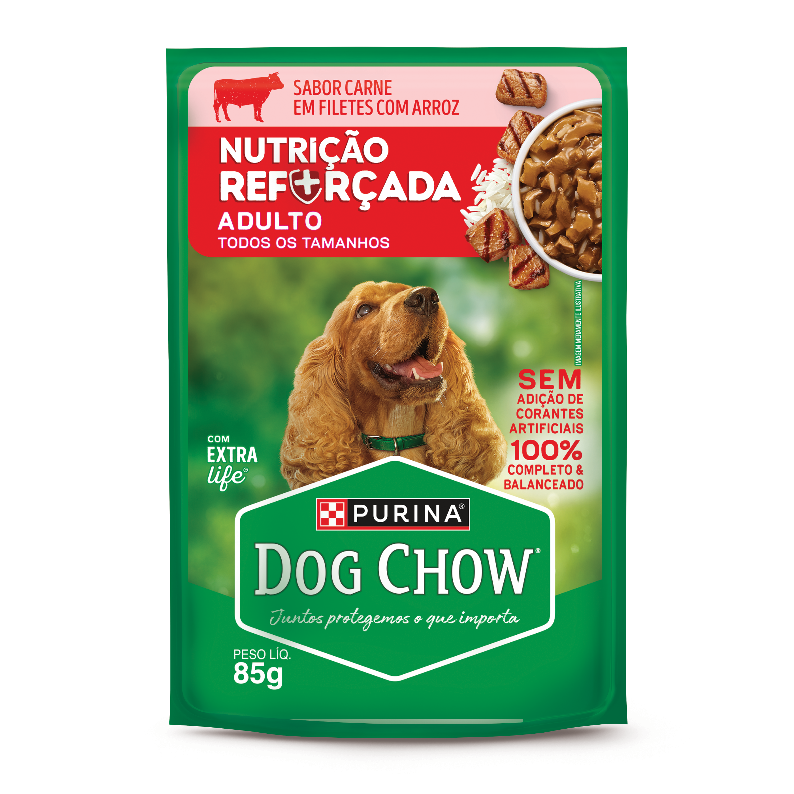 Dog Chow sachê ração úmida para cães adulto sabor carne com arroz 85g