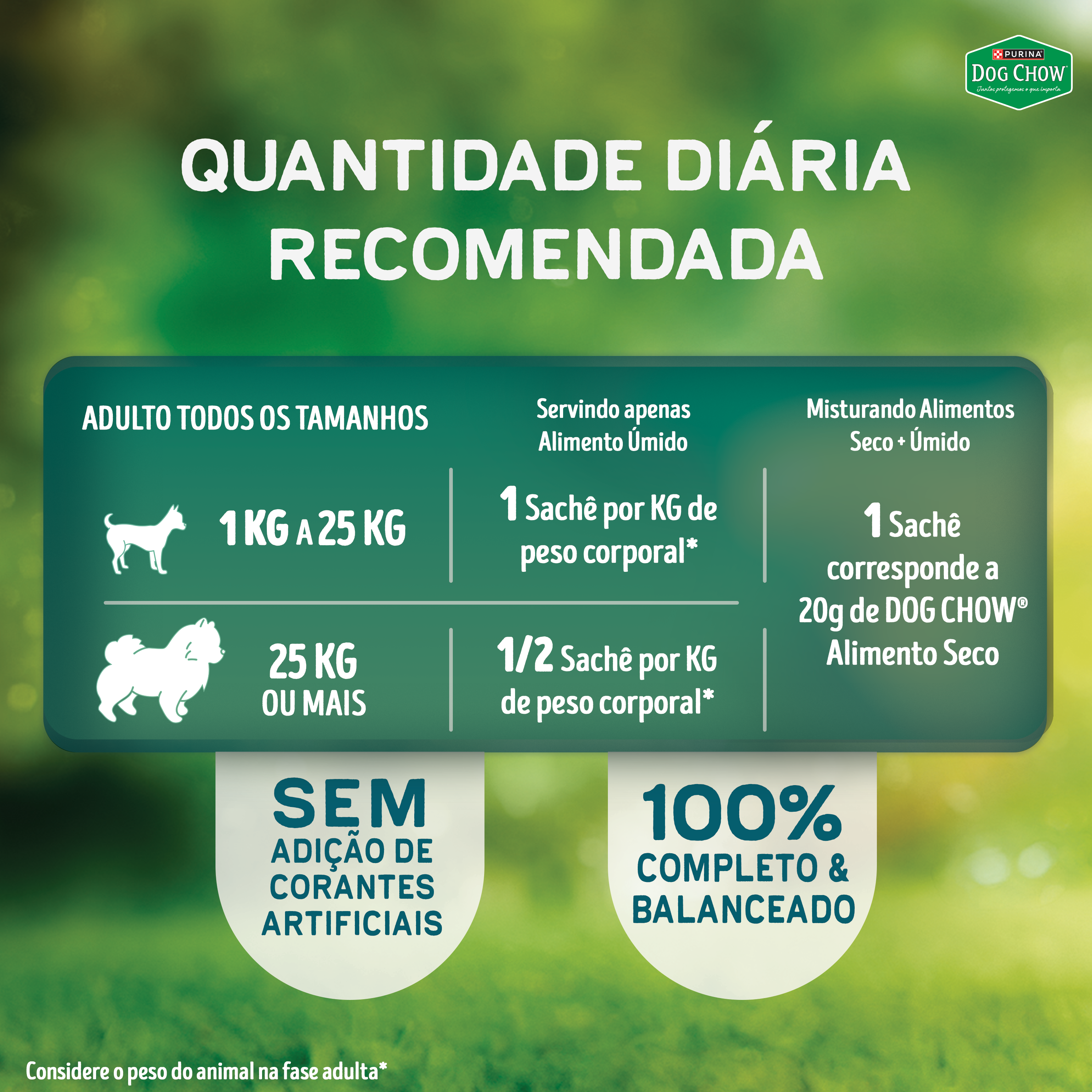 Dog Chow sachê ração úmida para cães adulto tripla proteína carne frango porco tirinhas 85g