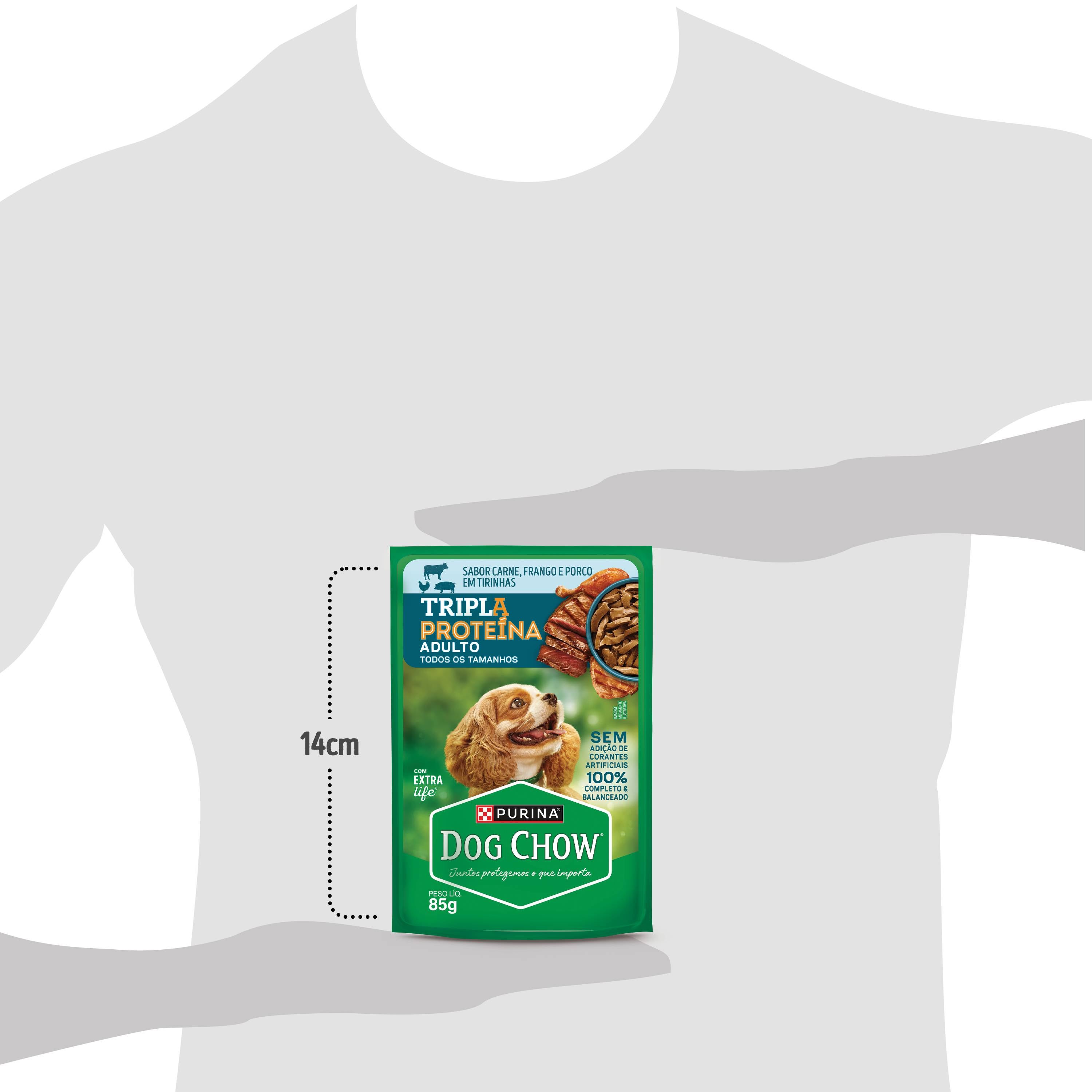 Dog Chow Ração úmida para cães adultos alta proteína carne porco e frango 85g