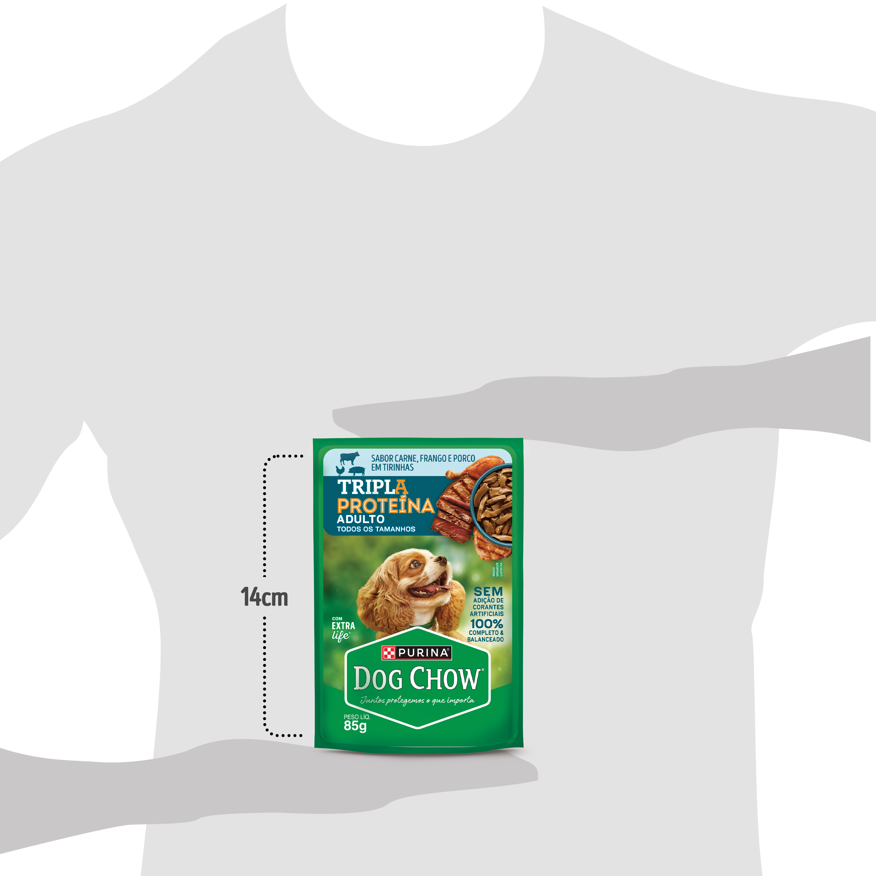 Dog Chow sachê ração úmida para cães adulto tripla proteína carne frango porco tirinhas 85g